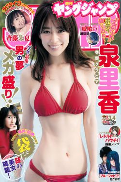 护心电视剧40集免费看